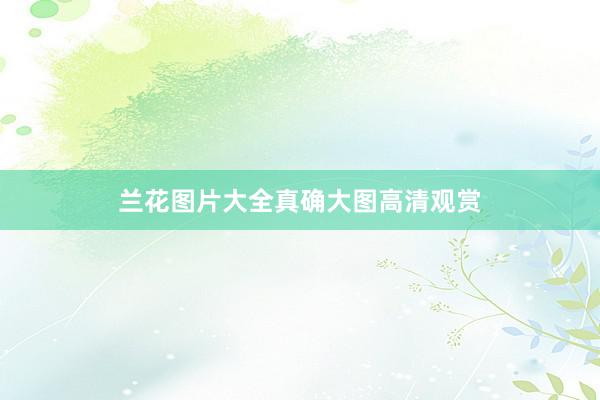 兰花图片大全真确大图高清观赏