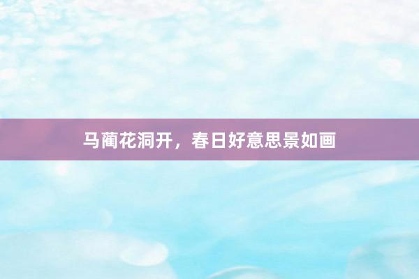 马蔺花洞开，春日好意思景如画
