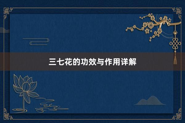 三七花的功效与作用详解